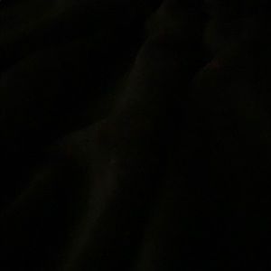 Meet your Posher, Chelstin